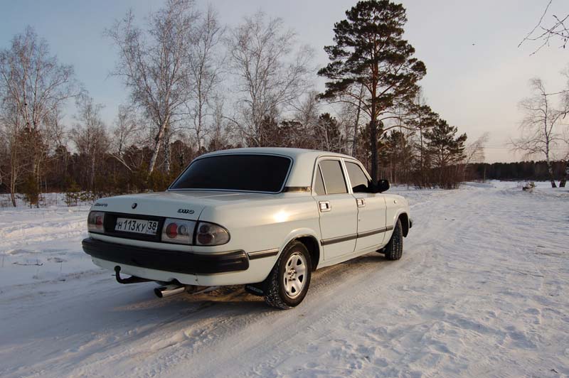 В лесу 4