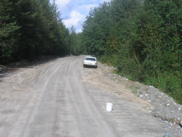 В лесу..