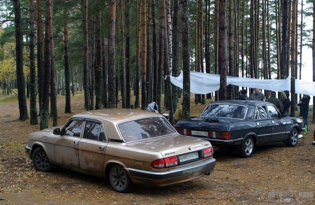В лесу