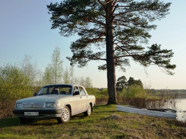 ГАЗ-31029. 2010г. 

Автомобиль 1997 года выпуска был куплен в 2007г., капитально отремонтирован и эксплуатируется до настоящего времени. За это время 