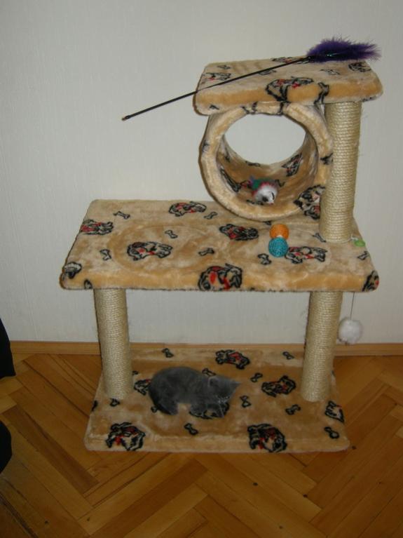 Его домик :)