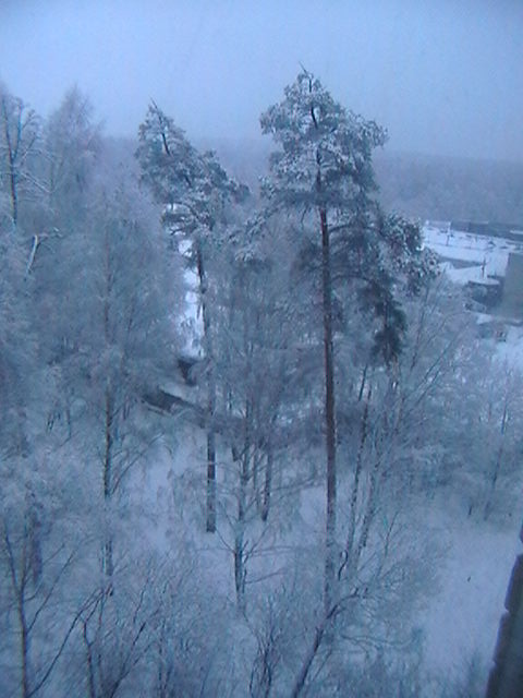 Зимнее утро