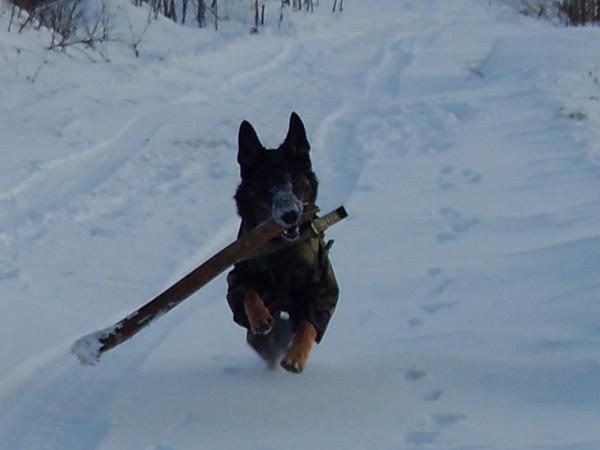 Изображение 012