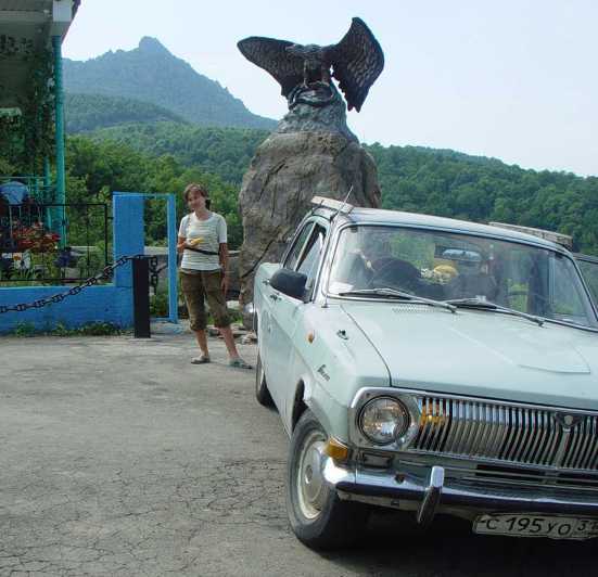 Индюк,орёл,человек и машина