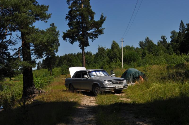 Июнь 2011. Река Керженец.
Загорает)