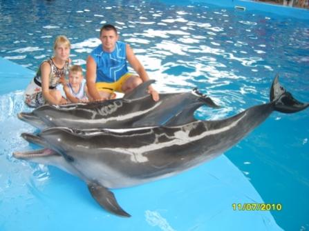 Лазаревский дельфинарий