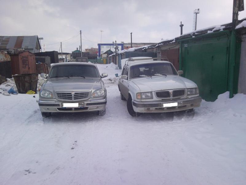 Ласточки