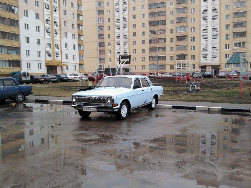 Моя красавица!