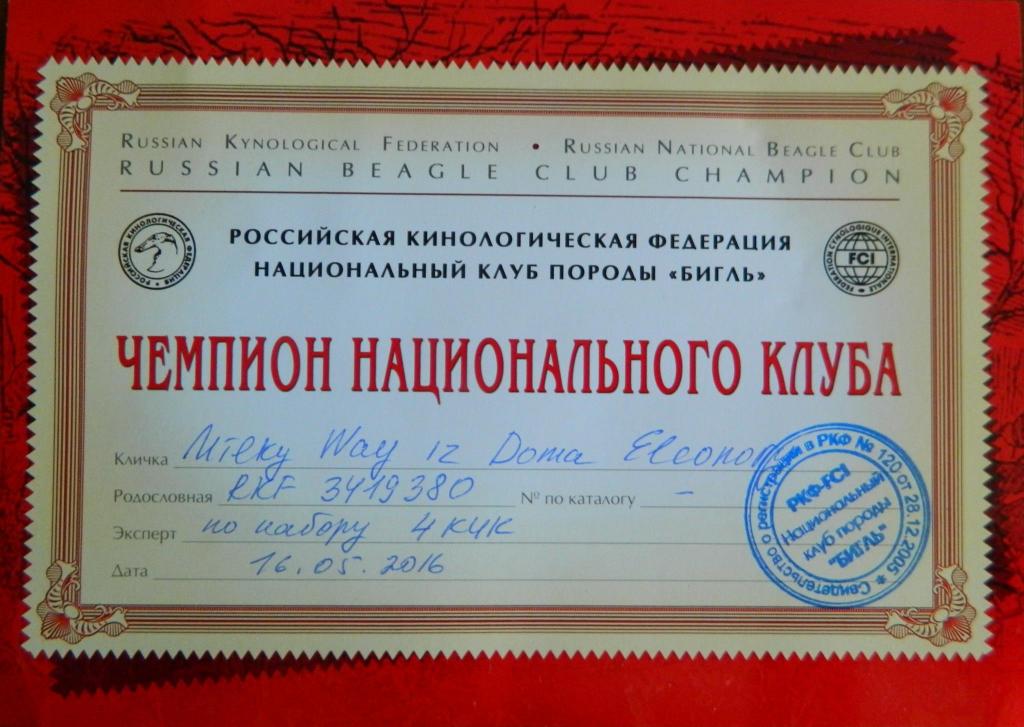 Наконец получили диплом Чемпион НКП