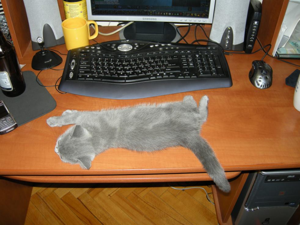 Нам 3 месяца :)