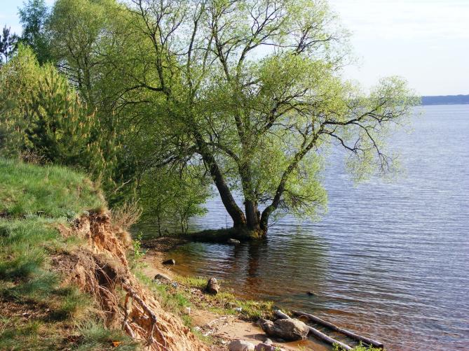 На берегу Волги.