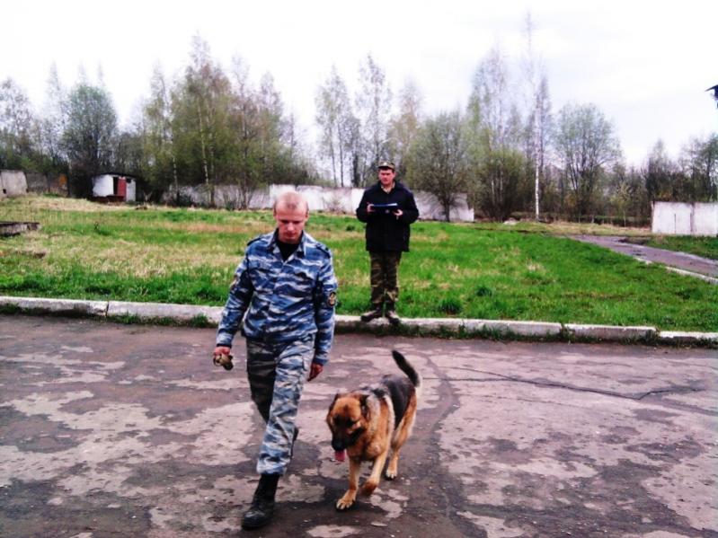 На соревнованиях по Смоленской области.