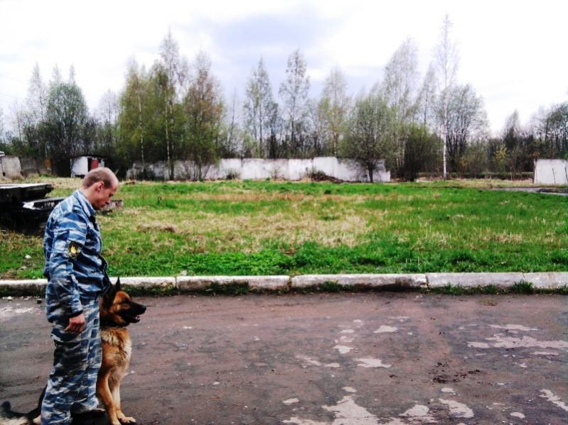 На соревнованиях по Смоленской области.