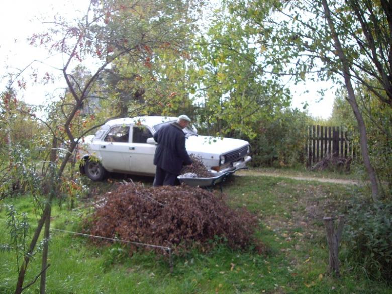 Осень 2009
Дача. Тоже моя. Вид с участка. Слева от машины возле лдороги росла высокая береза. Спилил председатель. Гад