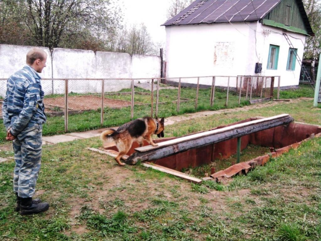 Преодоление препятствий.