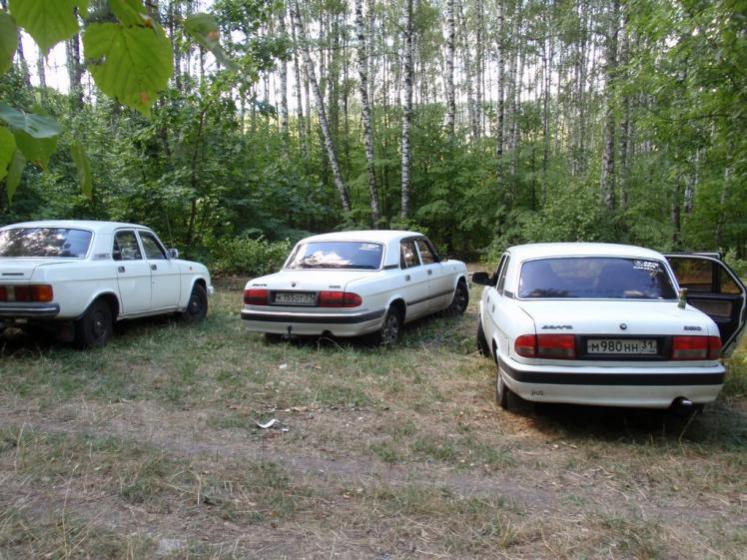 Прибыли на полянку