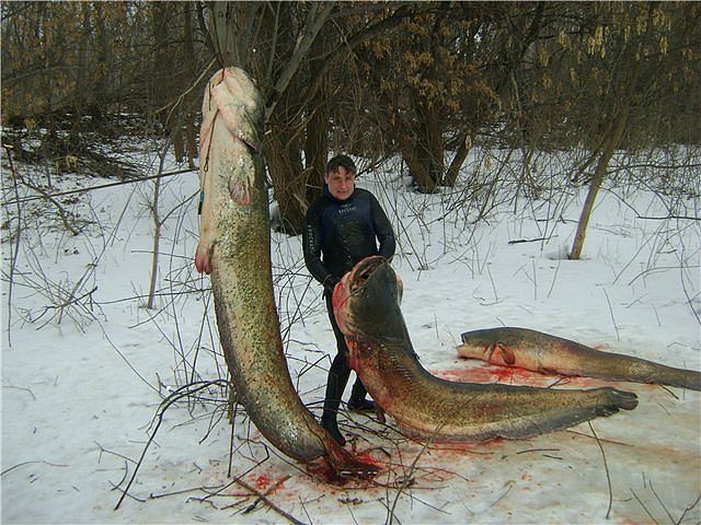 Рыбалка на Волге.