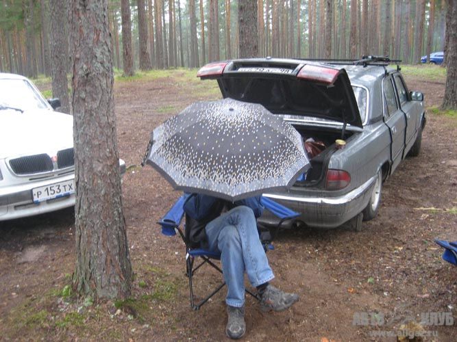 Это - не гриб, это - Murzik