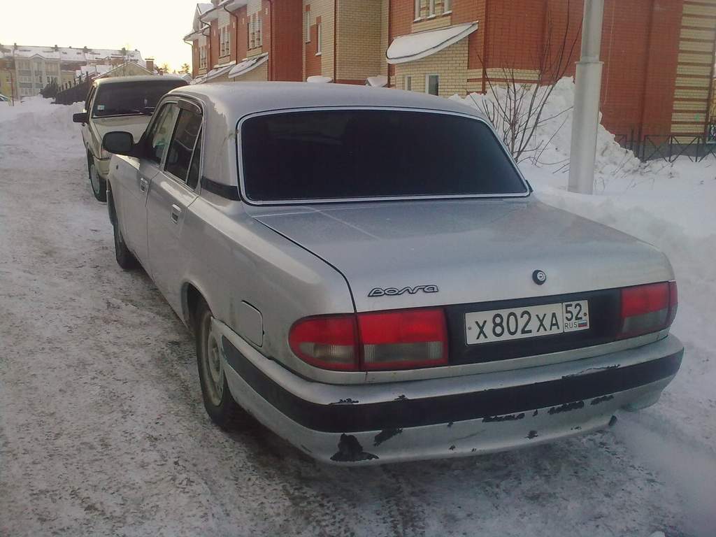 вид сзади