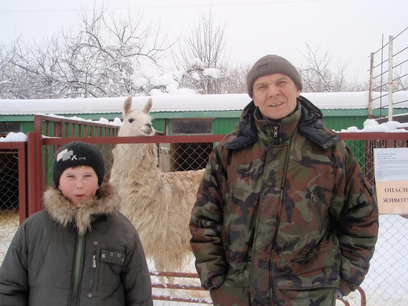 в зоопарке Тамбова осталась лама, несъеденная тамошними волками