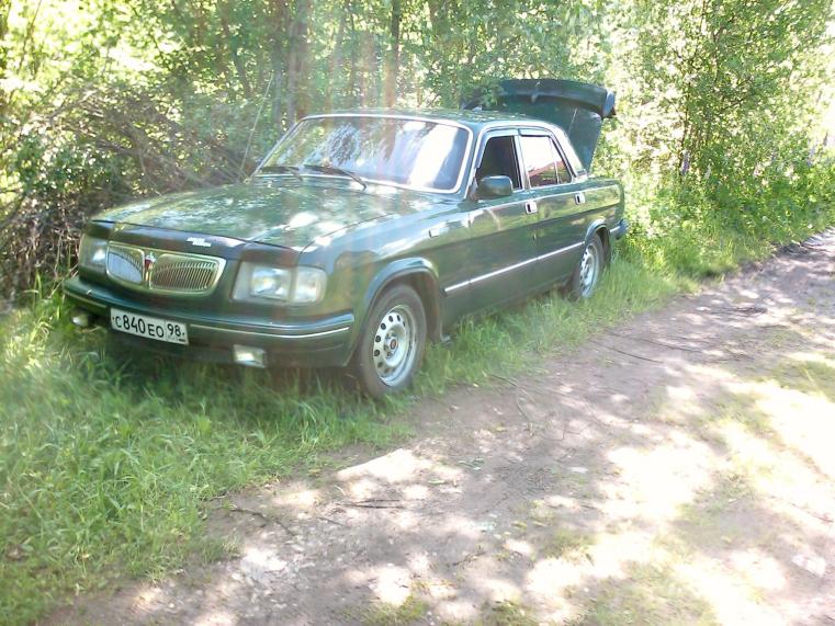 зеленая в кустах