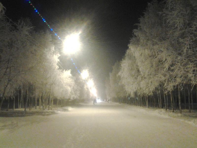красавица зима