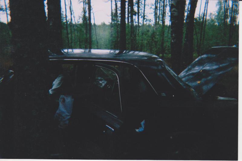 лето Новгородская обл. 2009 005