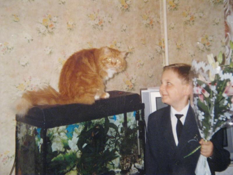 мой бывший кот вася