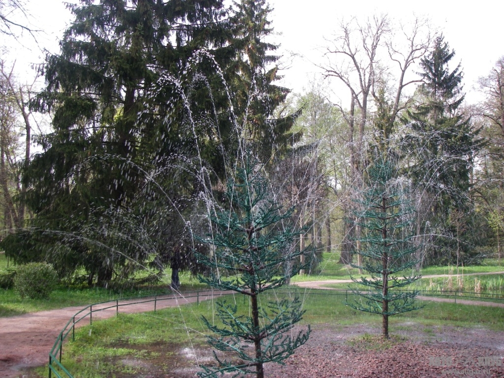 от Хорек  (10.05.)