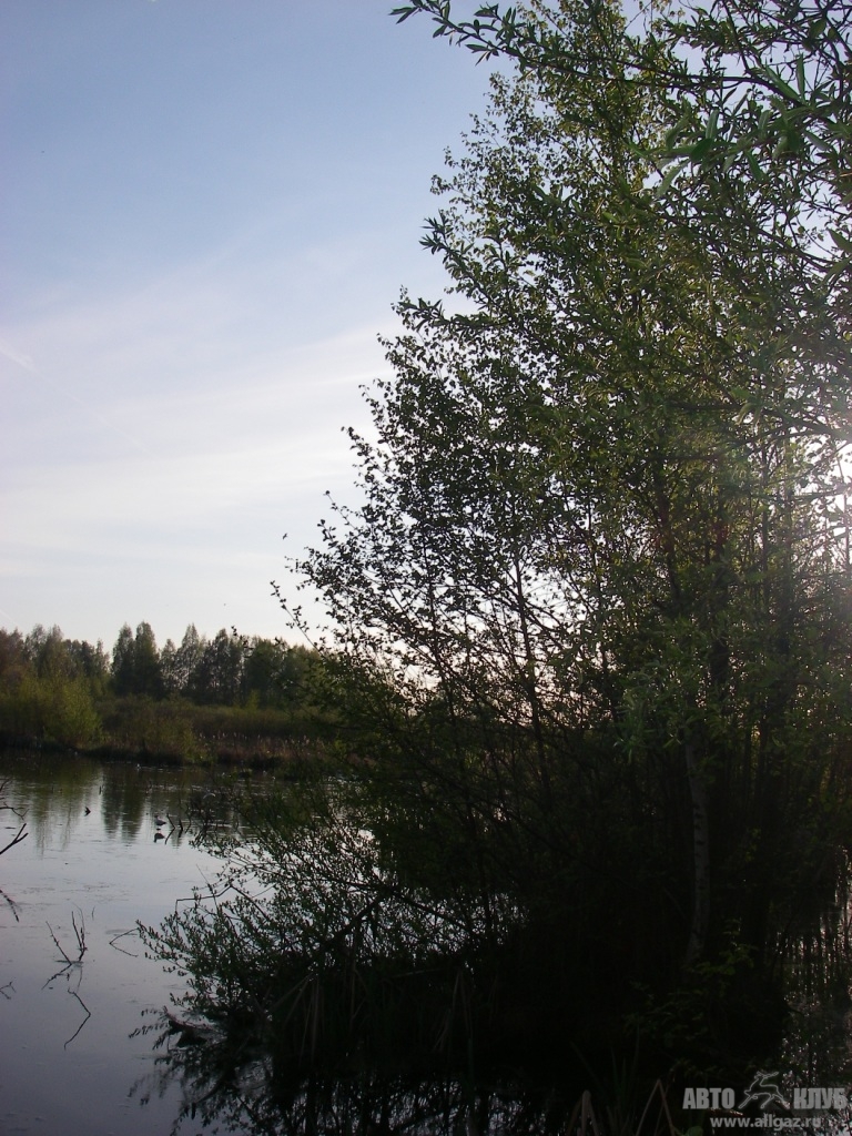 от Хорек  (10.05.)