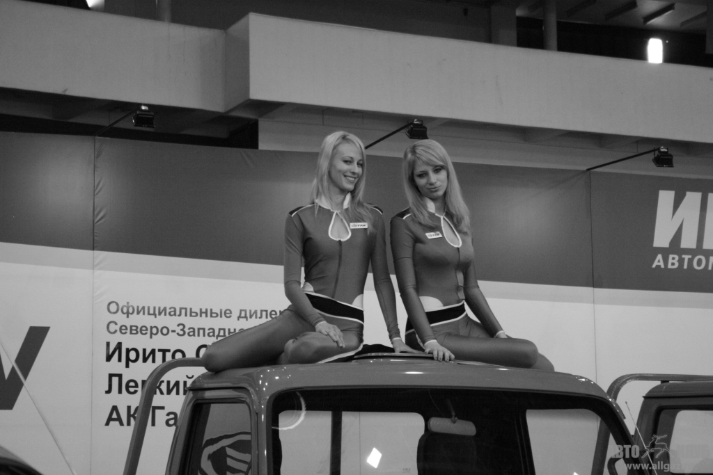от хорька