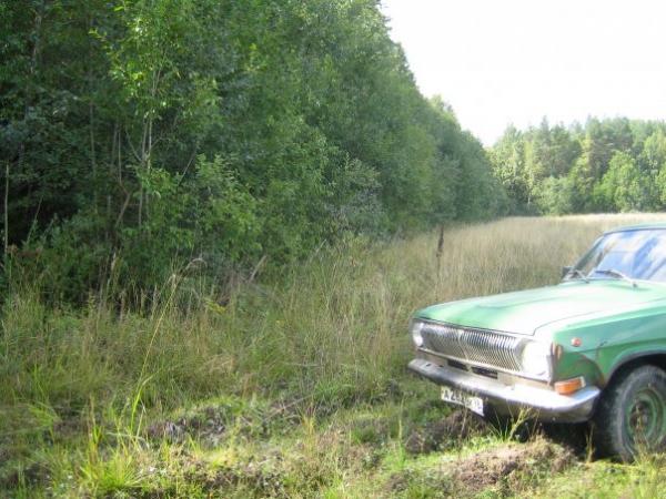 поездка за грибами 2006 год. Так она выглядела.