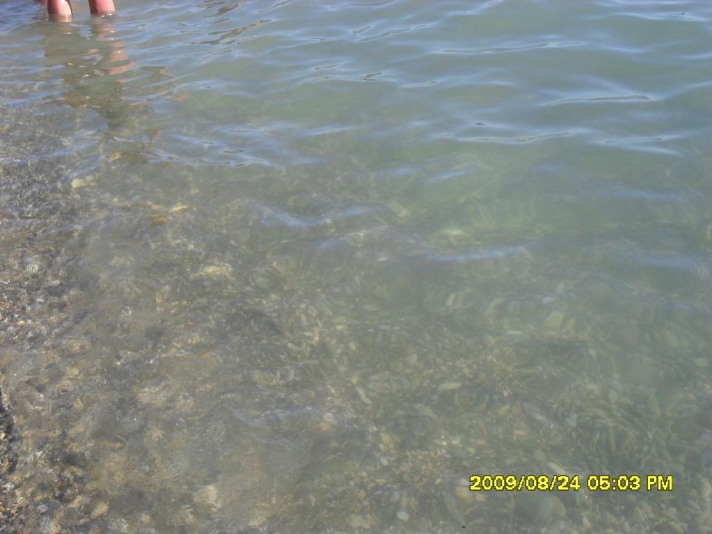 просто море