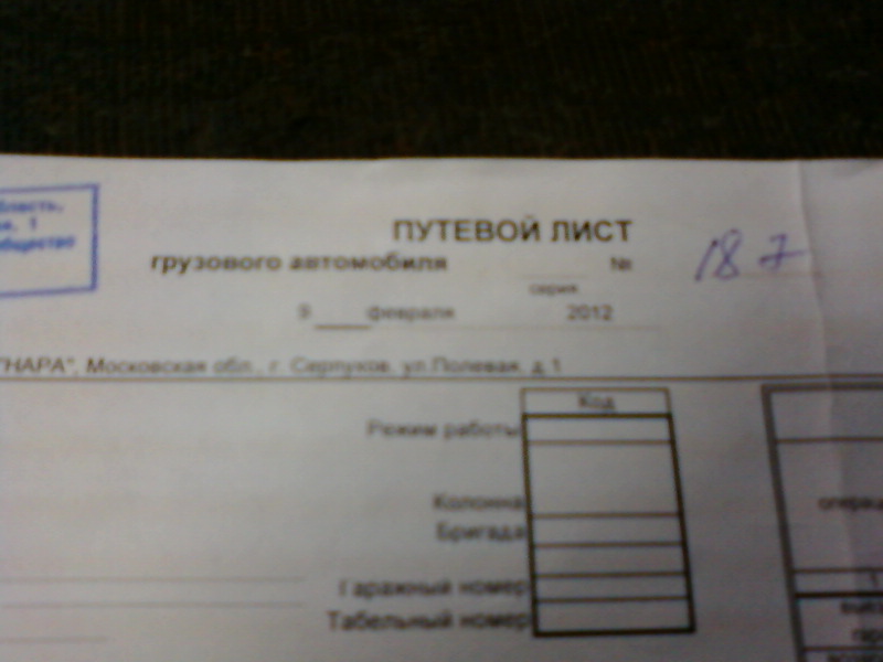путёвка (3)