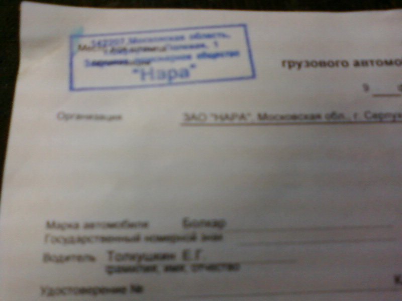путёвка (4)