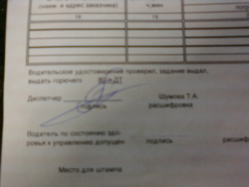 путёвка (5)