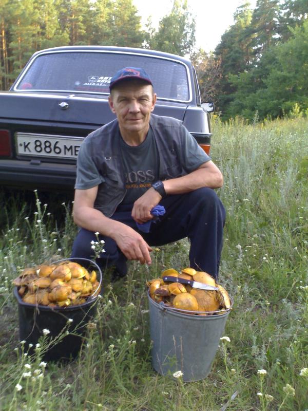 с маслятами
