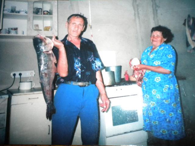 тесть с рыбой