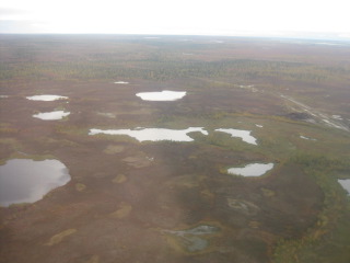 тундра