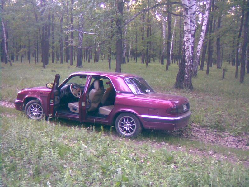 фотосэт в лесу