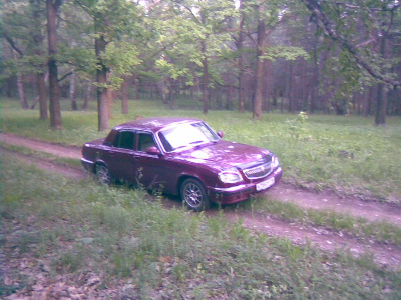 фотосэт в лесу