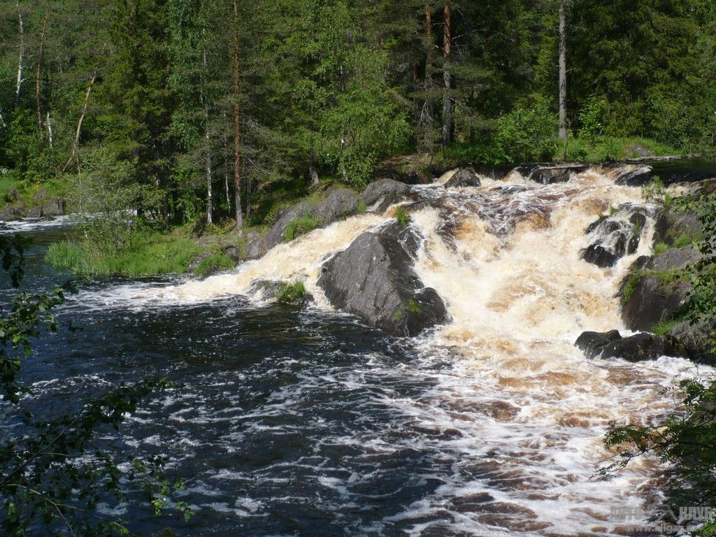 10p1020834