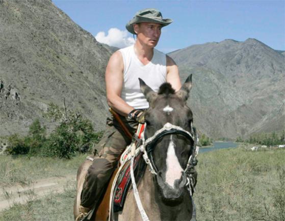 1231175994 putin horse
