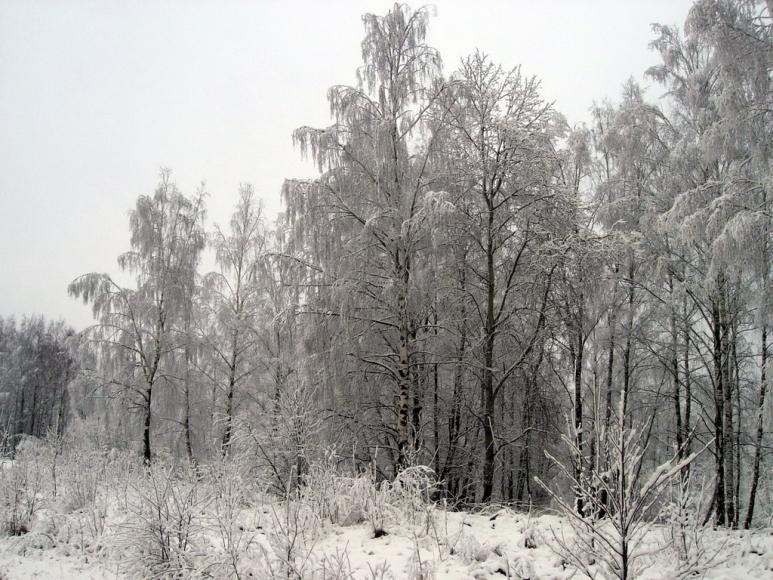 2008 12 11 14 00 35 новый размер