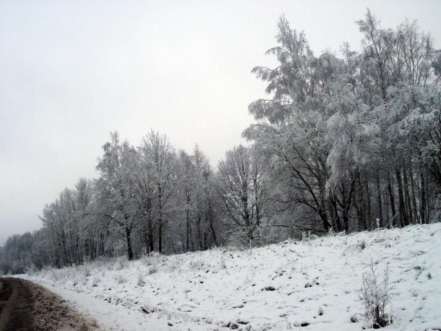 2008 12 11 14 01 08 новый размер