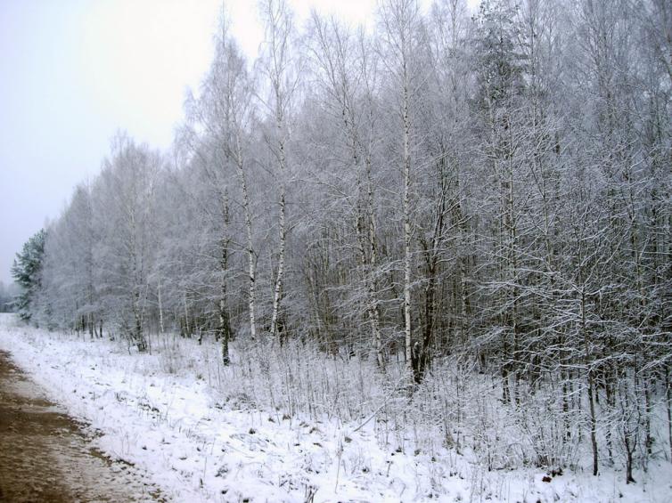 2008 12 11 16 28 19 новый размер
