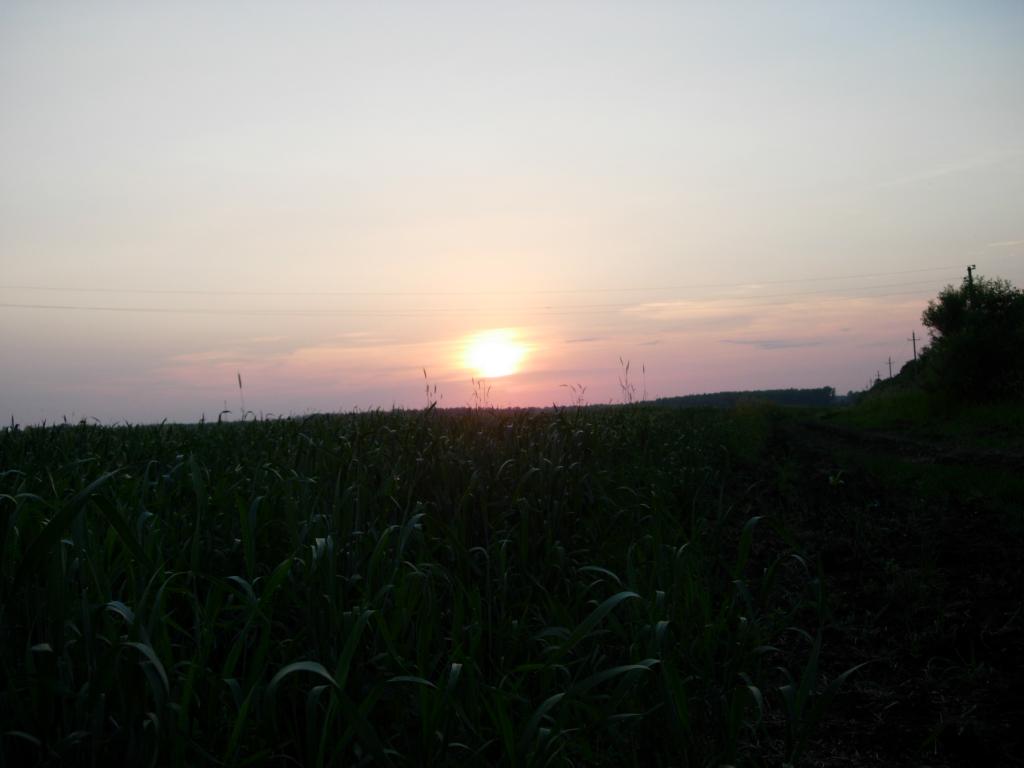 21.06.2006 20 34 18
