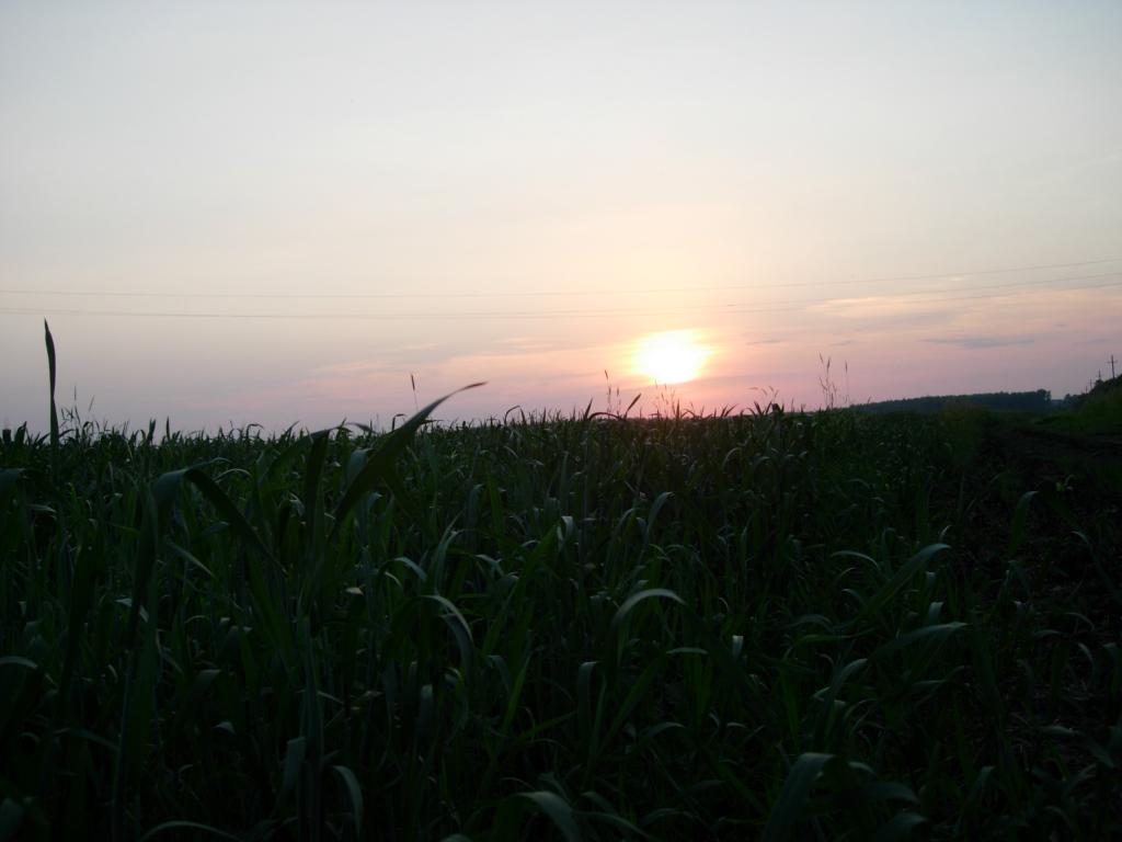21.06.2006 20 34 32