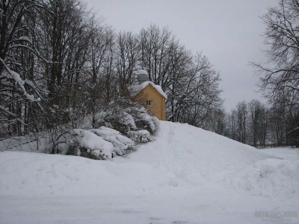46