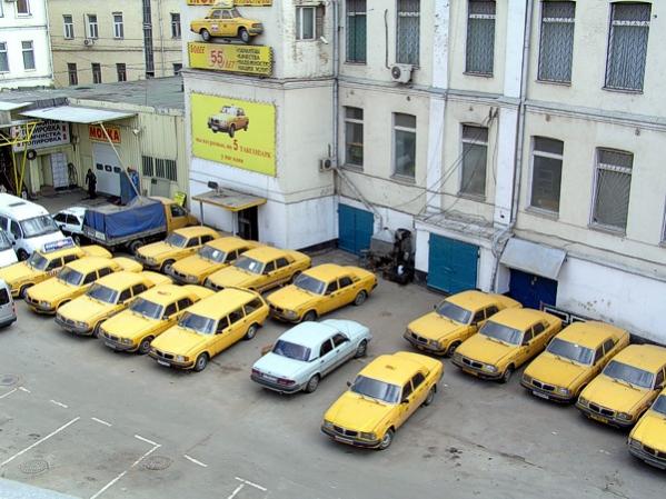 5 й парк.
Одна Белая ворона